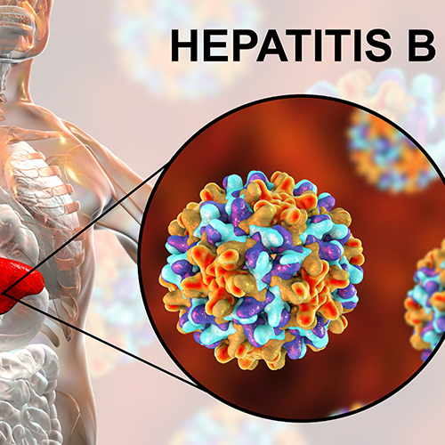 Hepatitis B Vaccinations – VaxWorks Health Services