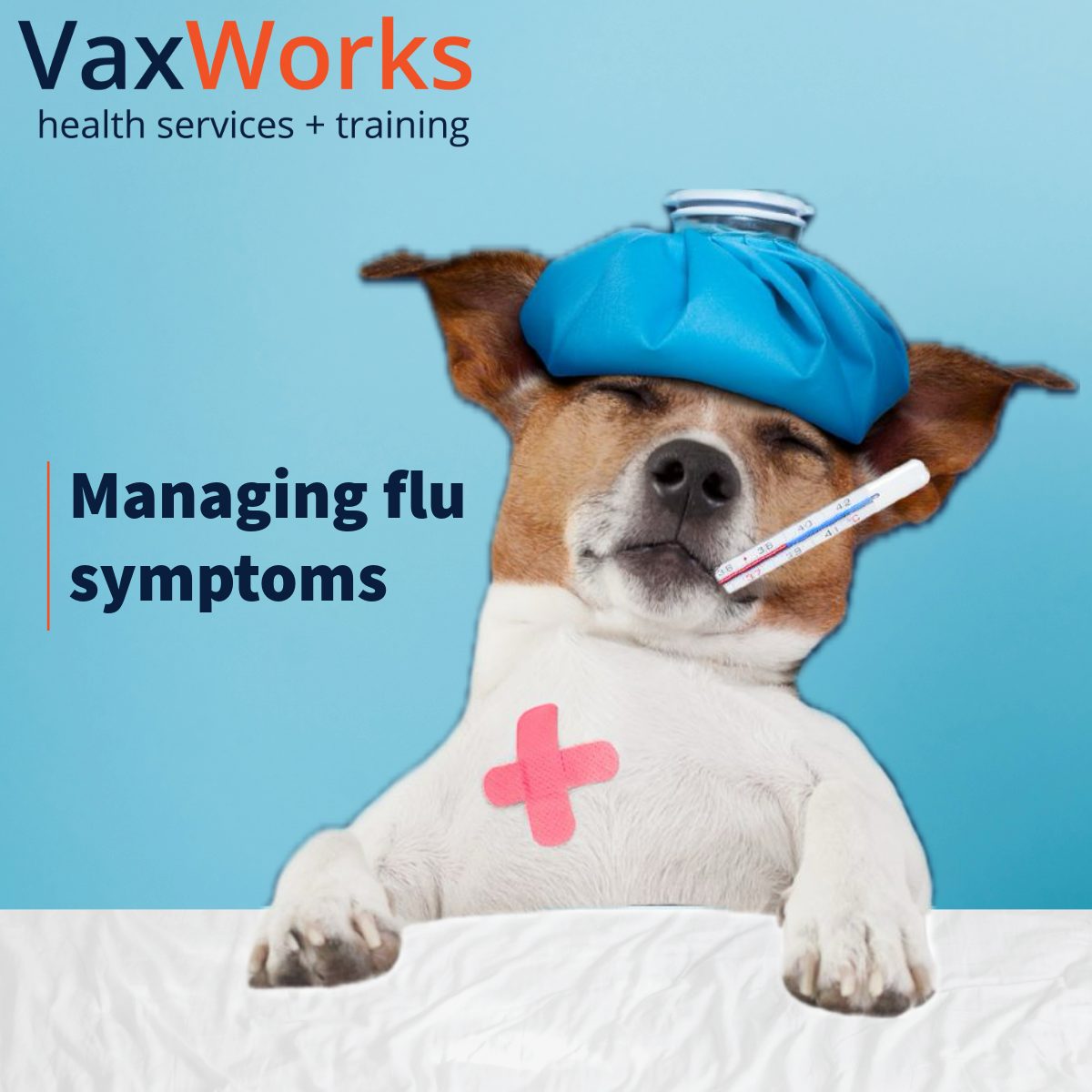Managing flu symptoms. Image of a dog in bed with a thermometer and ice pack on its head.