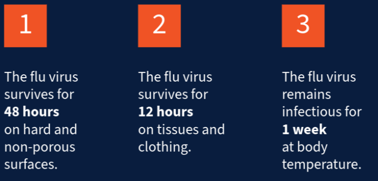 Flu virus facts