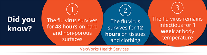 Flu facts