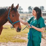 Veterinarians & animal handlers - vaccination recommendations