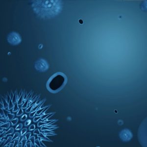 The rise of the Super K Flu