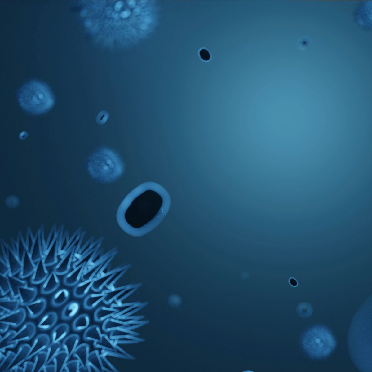 The rise of the Super K Flu