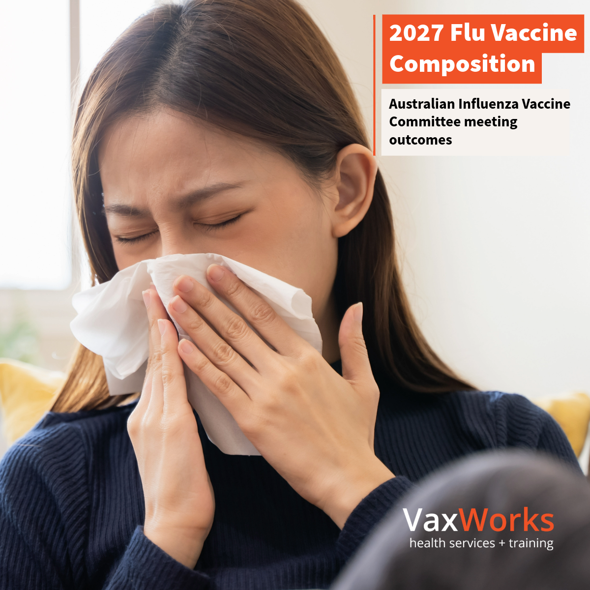 2027 Flu Vaccine Composition